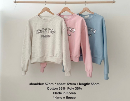 KR直送 CHESTER加絨衛衣 1W91135