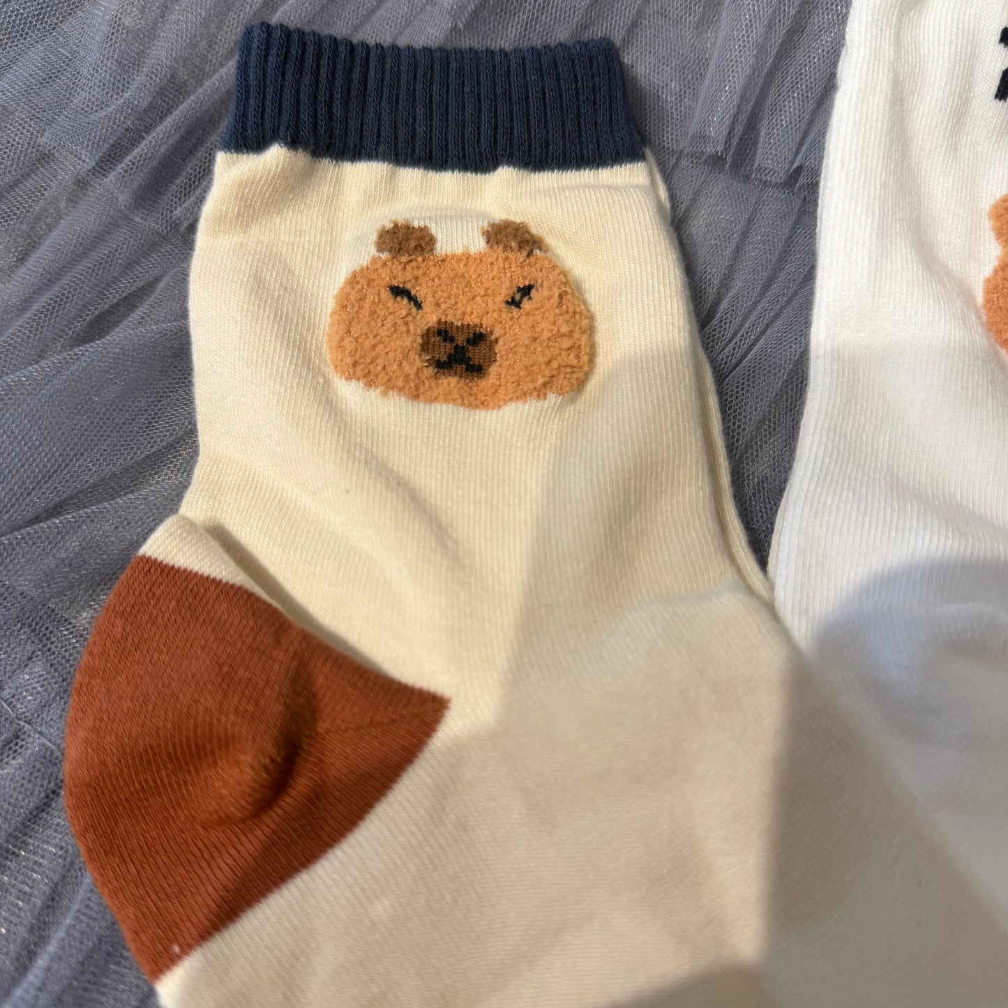KR直送 CAPYBARA水豚中筒襪 2色入